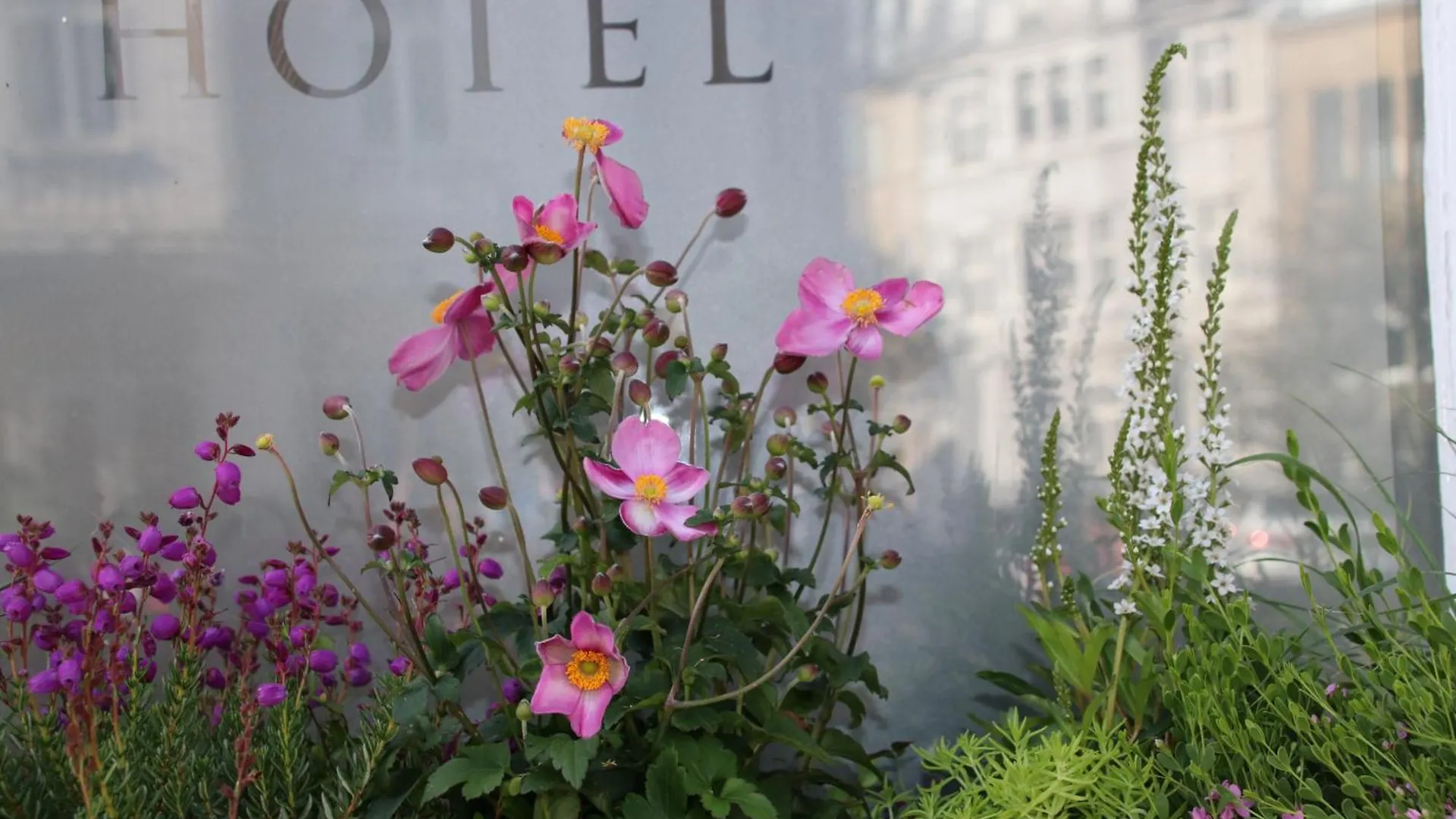 Hanseat-Hotel Düsseldorf Hotel